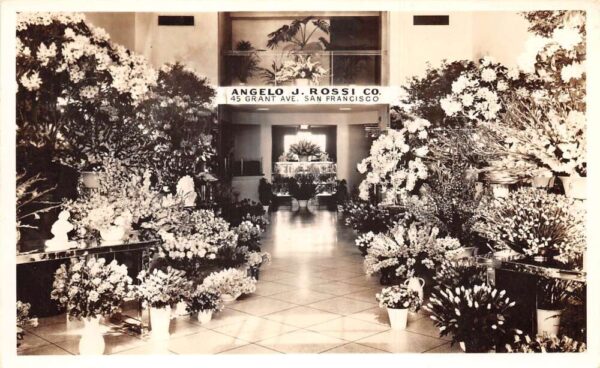 San Francisco California Angelo Rossi Flower Shop Florist Real Photo PC AA69440
