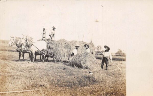 Collegeville Minnesota Farming Scene Loading Hay Real Photo Postcard AA69462