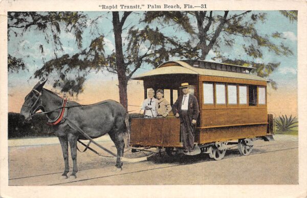 Palm Beach Florida Mule Pulled Transit Car, White Border Vintage Postcard U7323