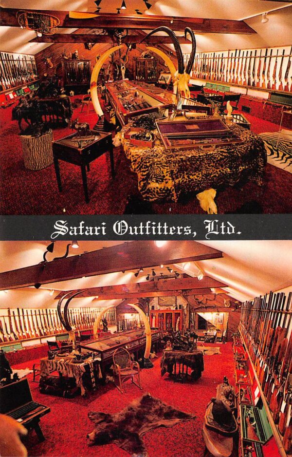 Ridgefield Connecticut Safari Outfitters, Ltd. Multi-View Chrome Postcard U7347