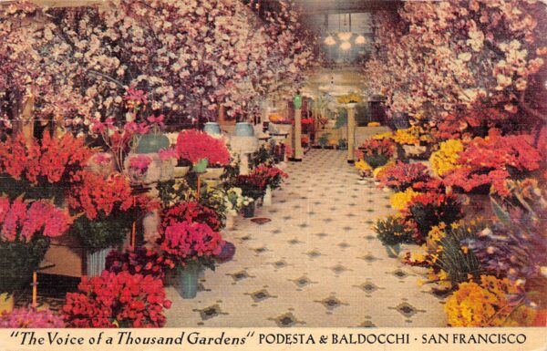 San Francisco California Podesta & Baldocchi Florist, Color Linen PC U7368