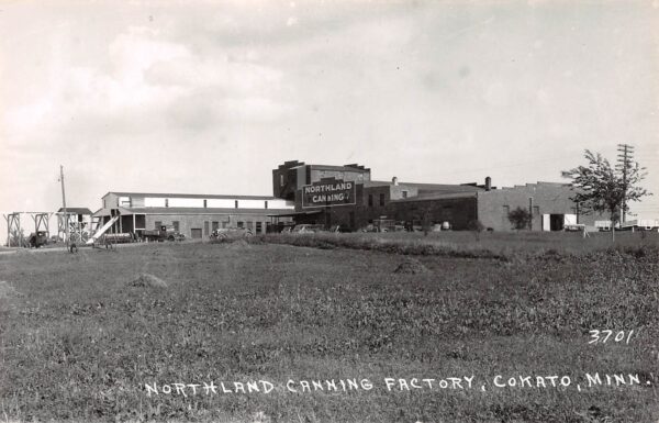 Cokato Minnesota Northland Canning Factory Real Photo Vintage Postcard U7534