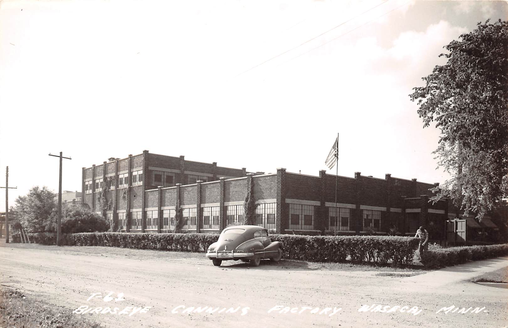 Waseca Minnesota Birds Eye Canning Factory, Real Photo Vintage Postcard