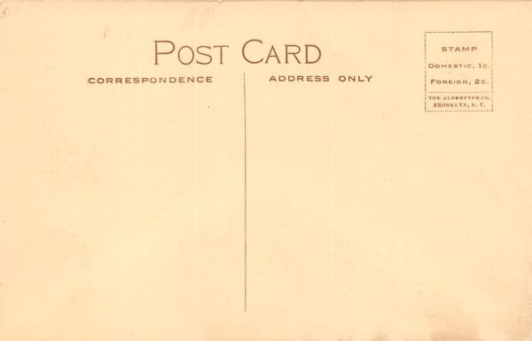 Edwardsville Illinois The Palace Store Sepia Tone Lithograph Vintage PC U7574 - Image 2