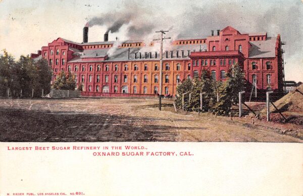 Oxnard California Oxnard Sugar Factory, Undivided Back Vintage Postcard U7584