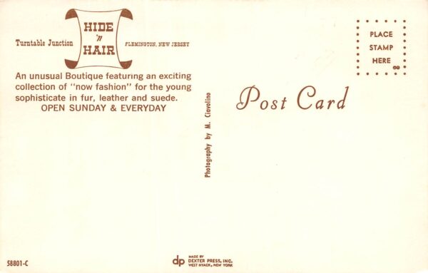 Flemington New Jersey Hide N' Hair Boutique, Multi-View Chrome Vintage PC U7720 - Image 2