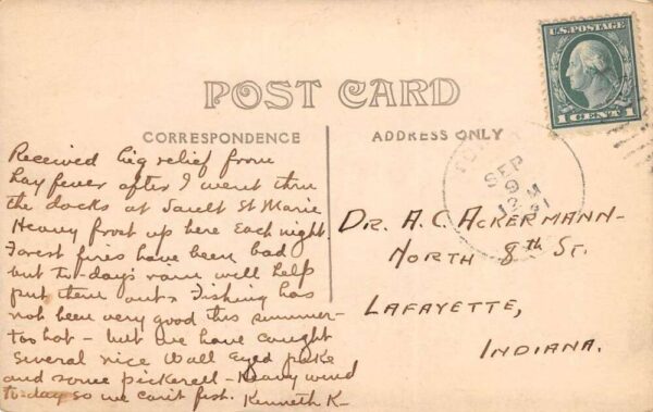 Tower Minnesota Birch Point Inn, Lake Vermillion,Real Photo Vintage Postcard U7941 - Image 2
