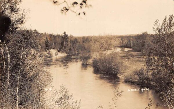 Au Sable River Michigan Birds Eye View Real Photo Vintage Postcard AA69622