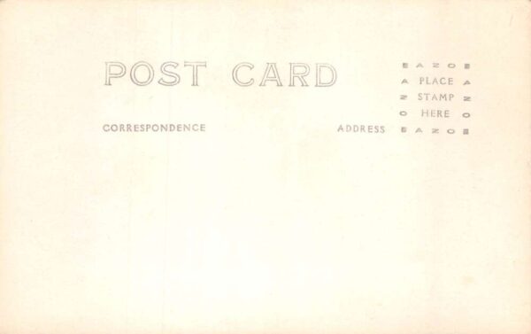 Au Sable River Michigan Birds Eye View Real Photo Vintage Postcard AA69622 - Image 2