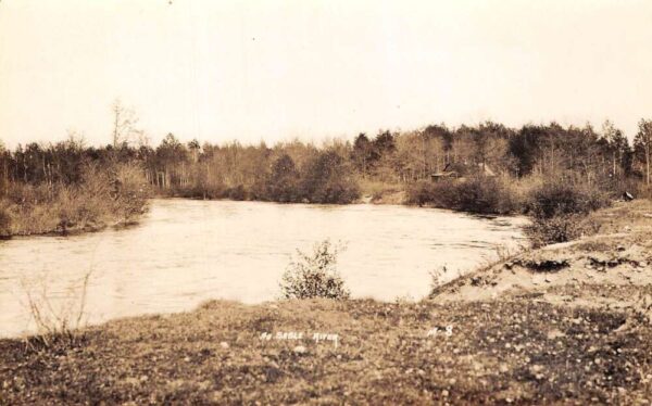 Au Sable River Michigan View from Shore Real Photo Vintage Postcard AA69623