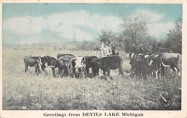 Devils Lake Michigan Greetings From Devils Lake, Color Lithograph PC U8420