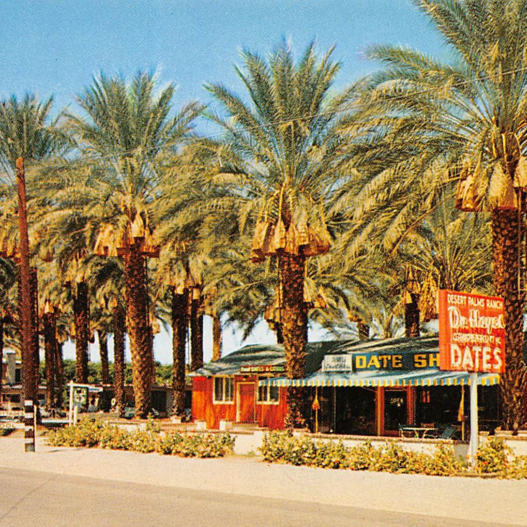 vintage California postcard
