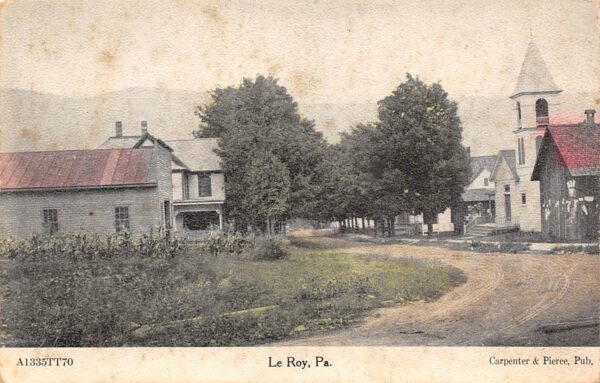 Le Roy Pennsylvania Town View, Hand Colored Vintage Postcard U8307