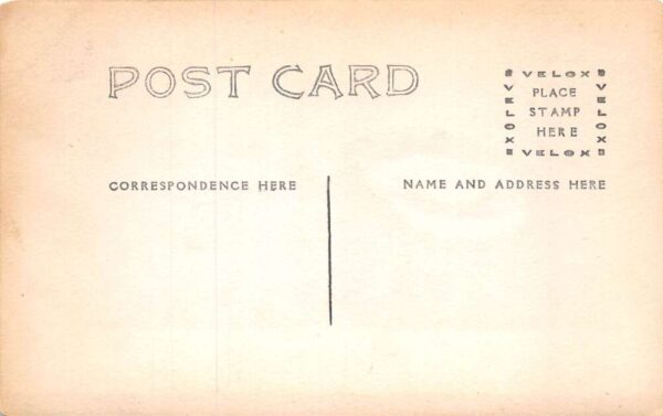 Buffalo New York Mr and Mrs Wagner 1907 Real Photo Vintage Postcard AA69730 - Image 2