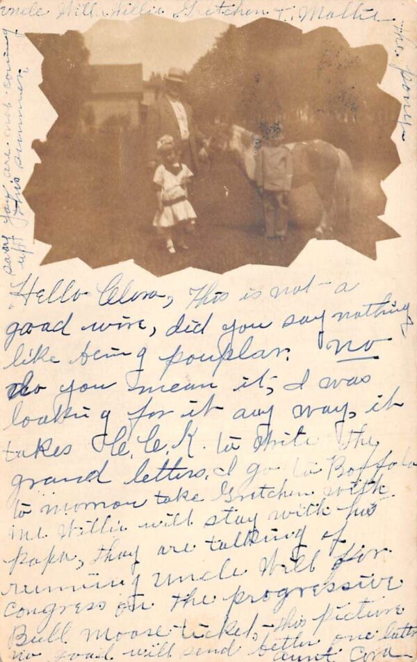 Wellsville New York Children with Pony Real Photo Postcard AA69736