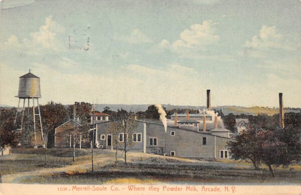 Arcade New York Merrell-Soule Co. Powder Milk Co. Color Lithograph PC U8533