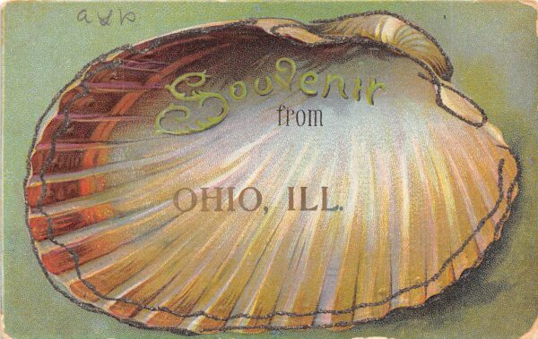 Ohio Illinois Souvenir Shell Postcard, Glitter Added, Color Lithograph PC U8881