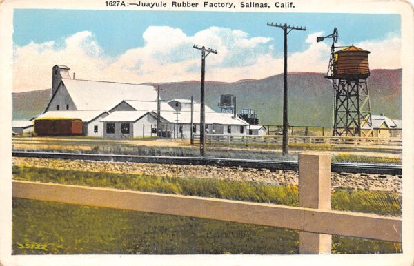 Salinas California Juayule Rubber Factory, White Border Vintage Postcard U8907