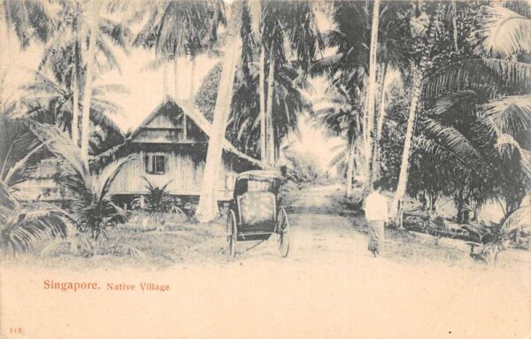 Singapore Native Village Street Scene Vintage Postcard AA69860