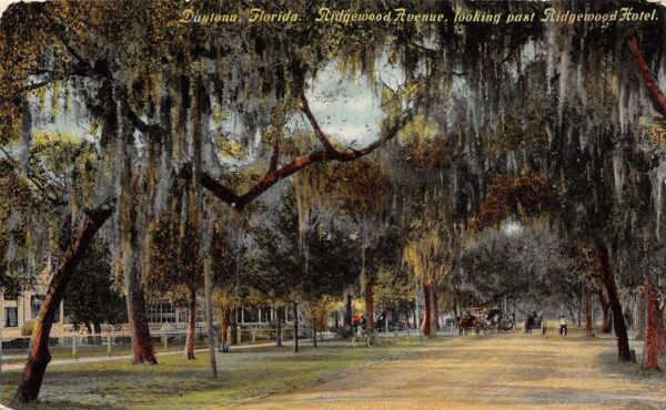 Daytona Florida Ridgewood Ave., Looking Past Ridgewood Hotel,Color Lithograph PC U8790
