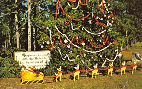 Christmas Florida The Permanent Christmas Tree, Photochrome Vintage PC U8952
