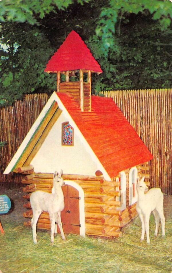 Catskill New York Catskill Game Farm, Baby Llamas & Little Red Chapel,Chrome PC U8953