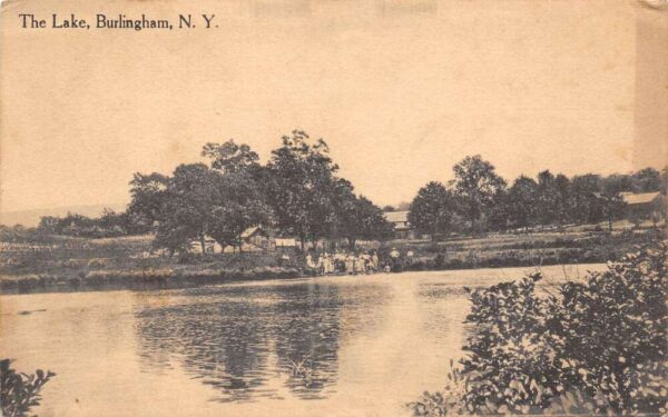 Burlingham New York The Lake, Sepia Tone Lithograph Vintage Postcard U8960