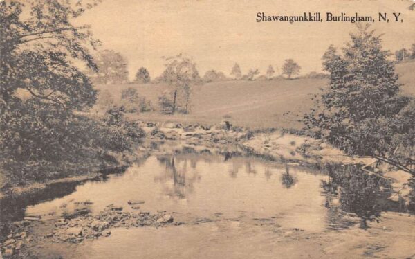 Burlingham New York Shawangunkkill, Sepia Tone Lithograph Vintage Postcard U8961