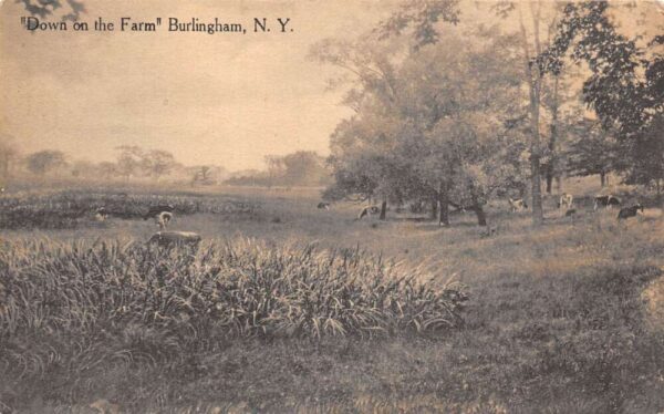 Burlingham New York Down On The Farm Scene, Sepia Tone Lithograph PC U8962