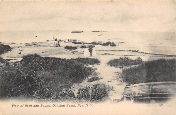 Rye New York Oakland Beach & Sound, Sepia Tone Lithograph Vintage PC U8978