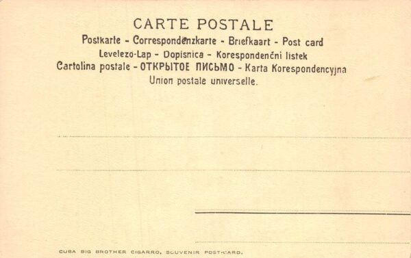 Vitznau Switzerland Birds Eyes View Vintage Postcard AA70158 - Image 2