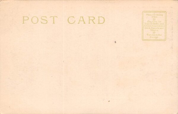 Poughkeepsie New York Apparatus Of Booth Hose Co.,No. 2, Undivided Back PC U9176 - Image 2