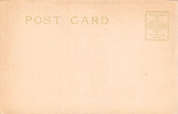 Poughkeepsie New York Apparatus Of Lady Washington Hose Co.,No. 3, Undivided Back PC U9177 - Image 2