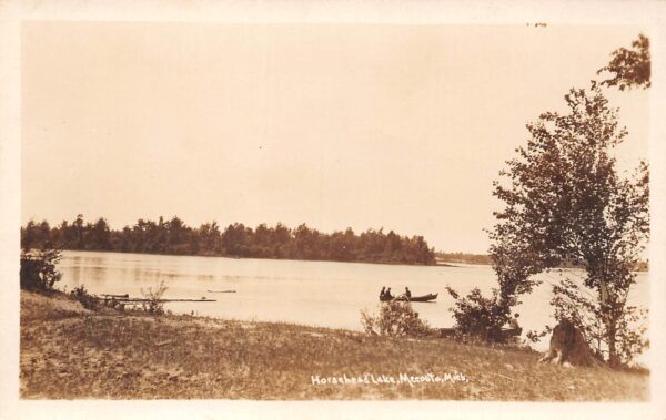 Mecosta Michigan Horsehead Lake, Real Photo Vintage Postcard U9584