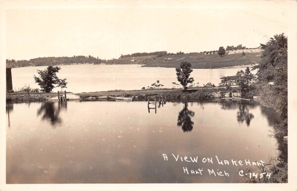 Hart Michigan A View On Lake Hart, Real Photo Vintage Postcard U9586