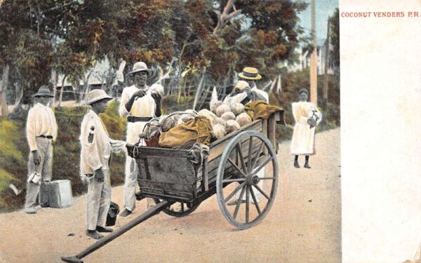 Puerto Rico Coconut Venders Vintage Postcard AA70405