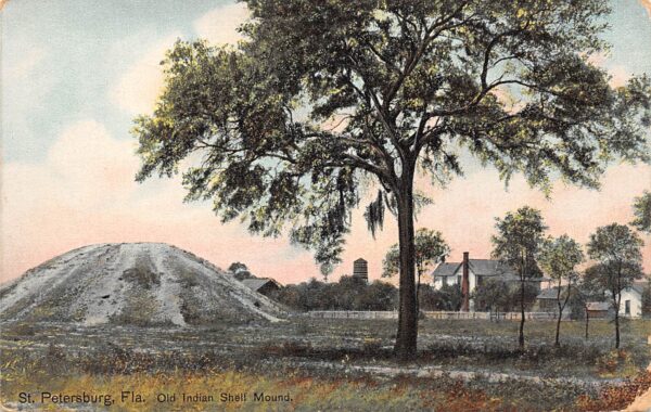 St. Petersburg Florida Old Indian Shell Mound, Color Lithograph Vintage PC U9815