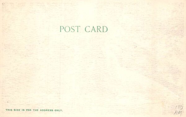 Bahamas Silk Cotton Tree in Winter Boy on Roots Vintage Postcard AA70524 - Image 2