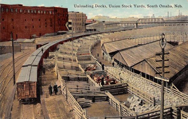 South Omaha Nebraska Union Stock Yards, Unloading Docks, Color Lithograph PCU9850