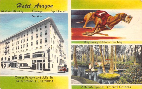 Jacksonville Florida Hotel Aragon, Multi-View Linen Vintage Postcard U9954