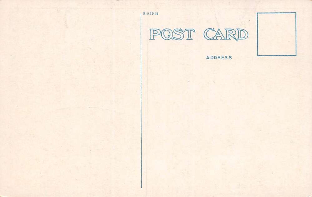 Dunedin Florida Skinner Machinery Co., Multi-View Lithograph Vintage PC U10070 - Image 2