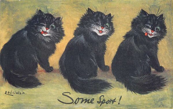 Greetings Black Cats "Some Sport" Louis Wain Tuck Postcard AA70668