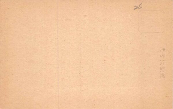 Nara Japan Todaiji Temple Hokkedo Hall Vintage Postcard AA70687 - Image 2
