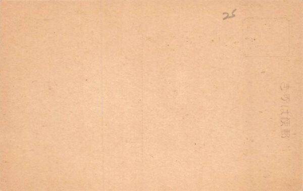 Nara Japan Todaiji Temple Nandaimon Gate Vintage Postcard AA70689 - Image 2