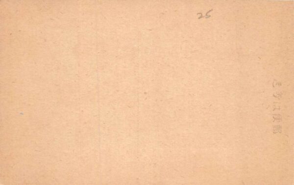 Nara Japan Todaiji Temple Nigatsudo Hall Vintage Postcard AA70694 - Image 2