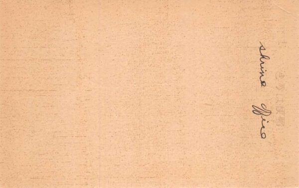Nara Japan Todaiji Temple Hokkedo Hall Vintage Postcard AA70696 - Image 2