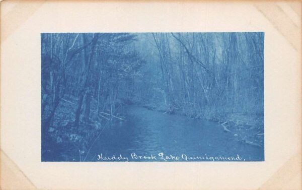 Lake Quinsig Massachusetts Muddy Brook View Cyanotype Blue Real Photo PC AA70787