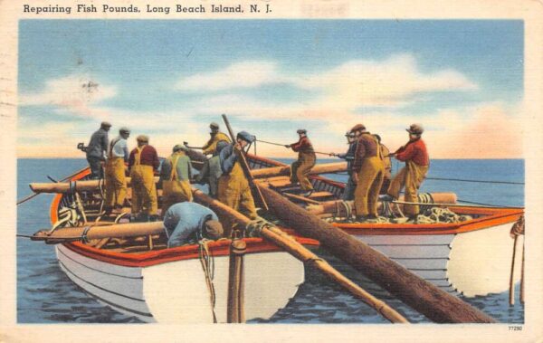 Long Beach Island New Jersey Repairing Fish Pounds Linen Postcard AA70796