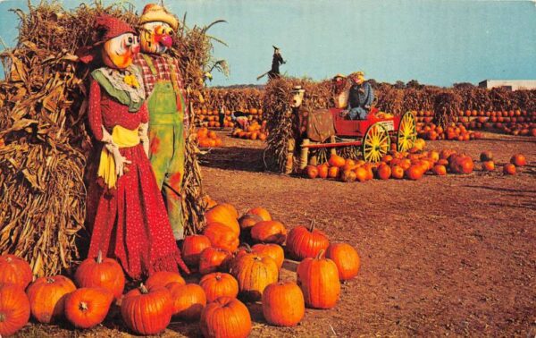 Woodcliff Lake New Jersey Van Riper's Farms, Inc., Photochrome Postcard U10251