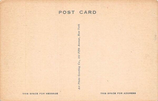 Belvidere New Jersey Belvidere Park, Photo Print Vintage Postcard U10319 - Image 2